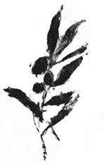 Kenshō Hotels & Resorts - Paros